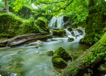 Europe tour package 2026