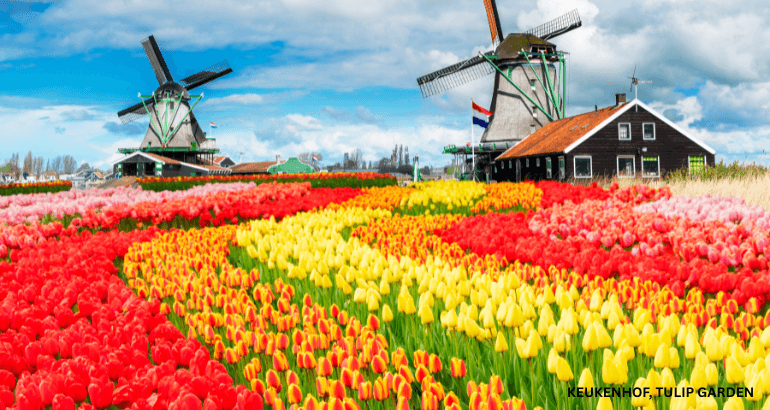 Europe tour package 2026